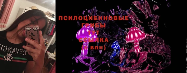 индика Остров