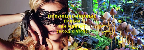 герыч Осинники