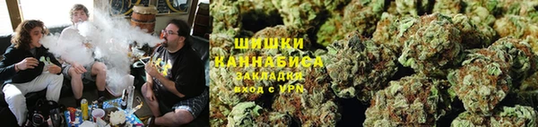 индика Остров