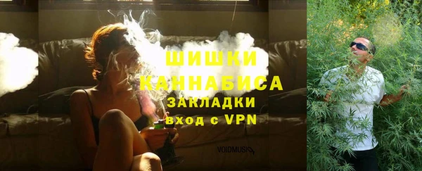 сатива Нязепетровск