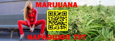 шишки Бийск