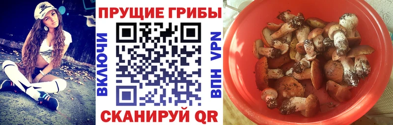 Псилоцибиновые грибы GOLDEN TEACHER  Таганрог 