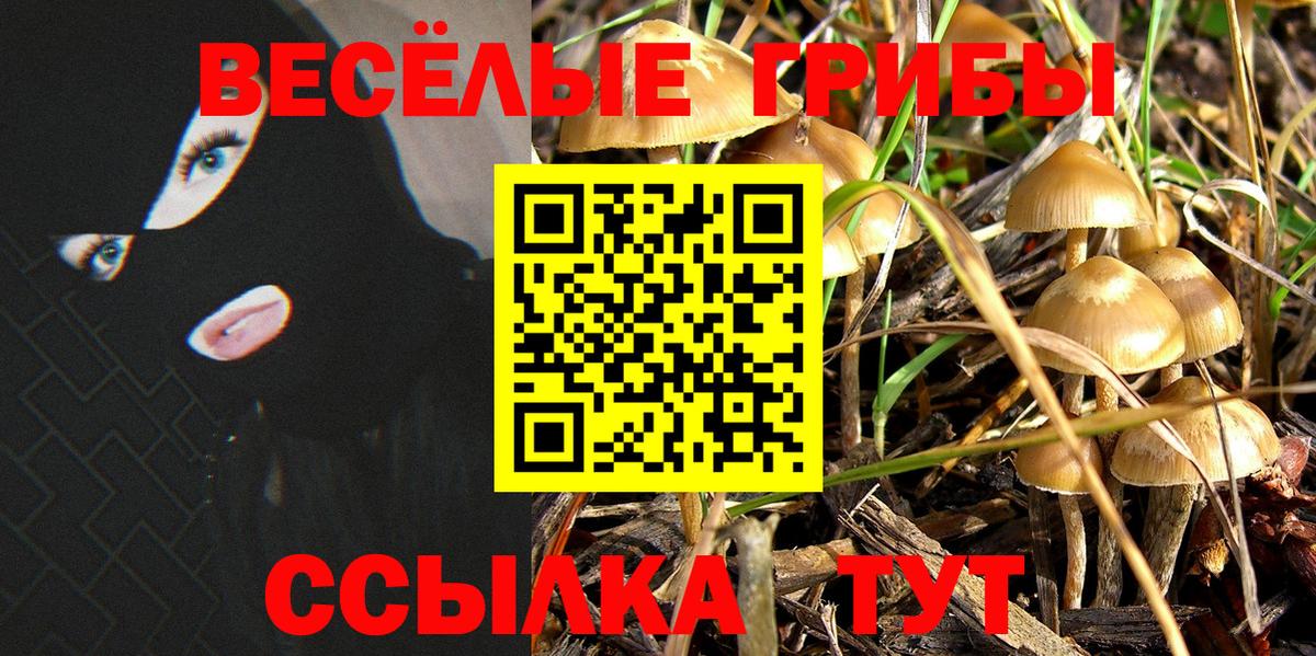 Псилоцибиновые грибы Magic Shrooms  закладка  Таганрог  Псилоцибиновые грибы Psilocybe 