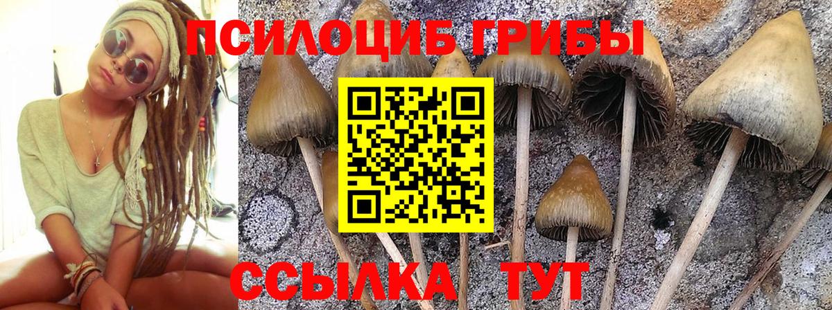 Таганрог  Галлюциногенные грибы мицелий  Вход с VPN 
